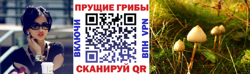 Псилоцибиновые грибы Magic Shrooms Ильский